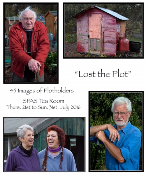 Sefton Park Allotments